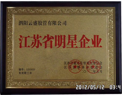 江苏省明星企业